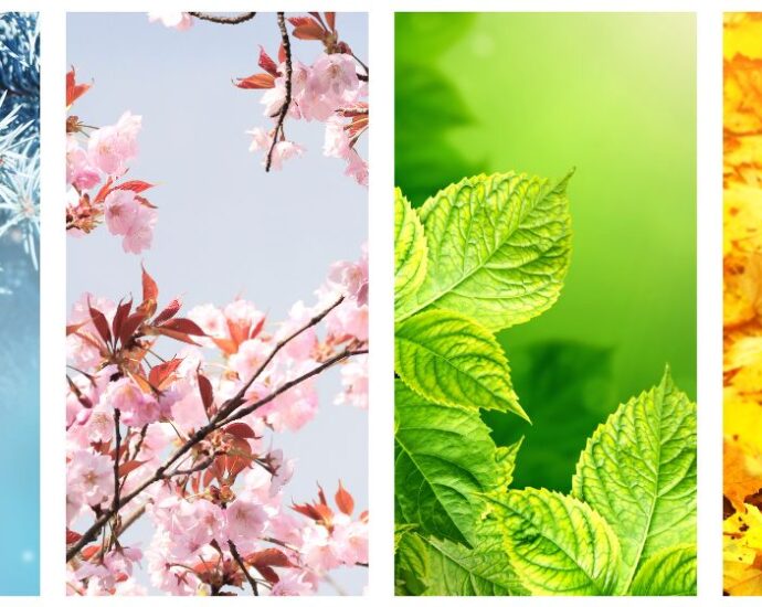 four seasons aromatherapy