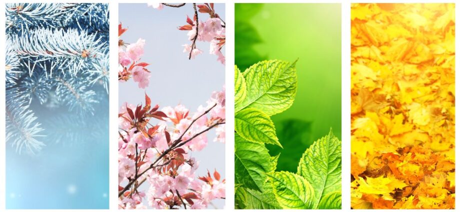 four seasons aromatherapy
