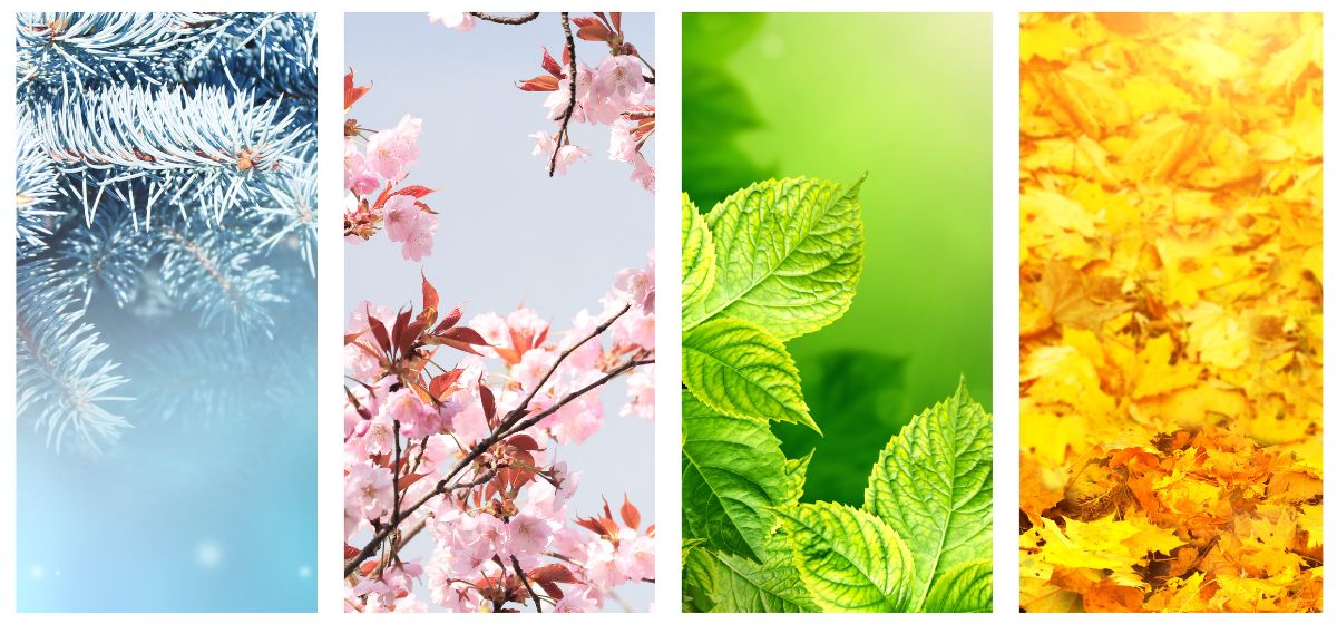 four seasons aromatherapy