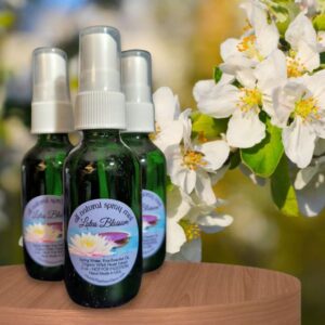 Lotus Blossom Spray
