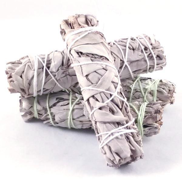 Baby Sage Bundles (white)