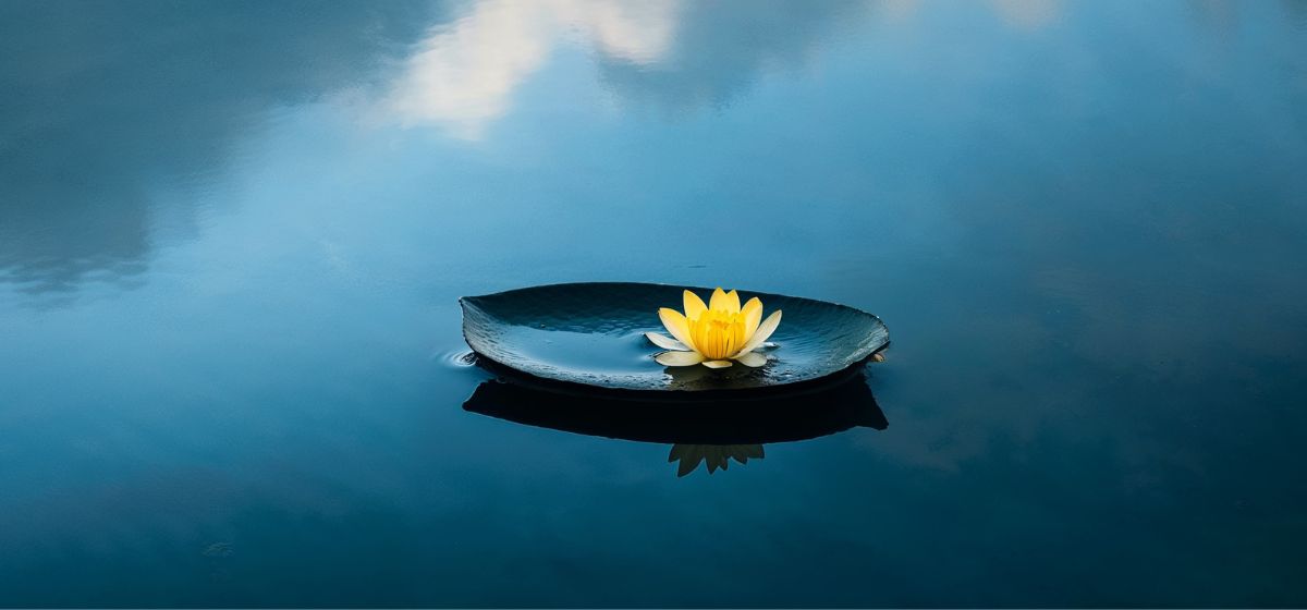 finding a calm place