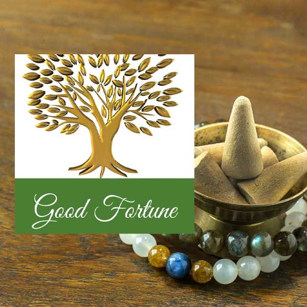 Good Fortune Cone Incense
