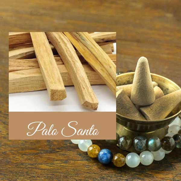 Palo Santo Cone Incense
