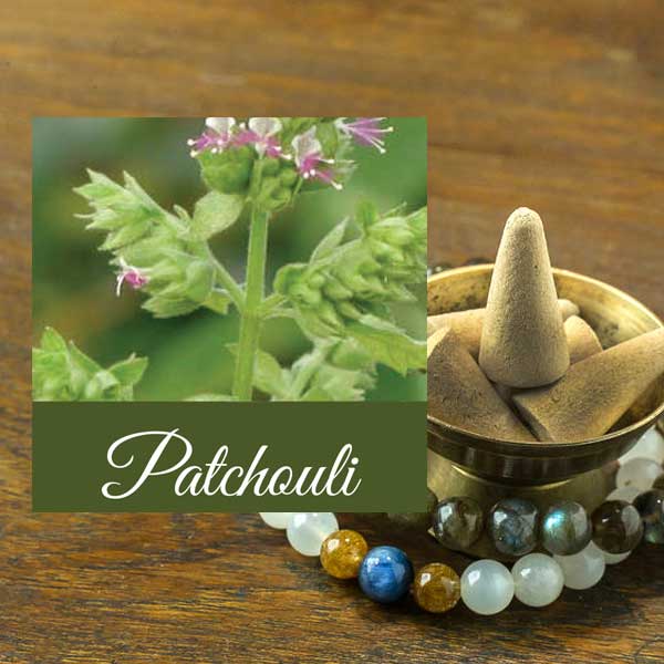 Patchouli Cone Incense