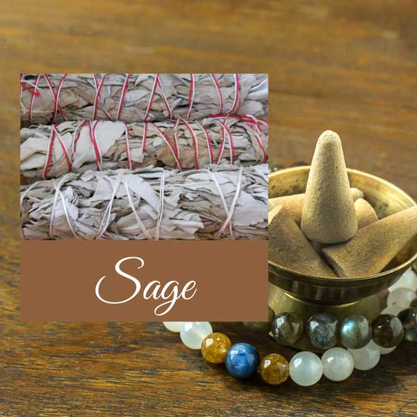 White Sage Cone Incense